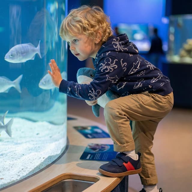 Detalle 2 de STQ KIDS Scarpe Bambino Bambina Sneakers a punta larga con suola antiscivolo per primi passi e outdoor