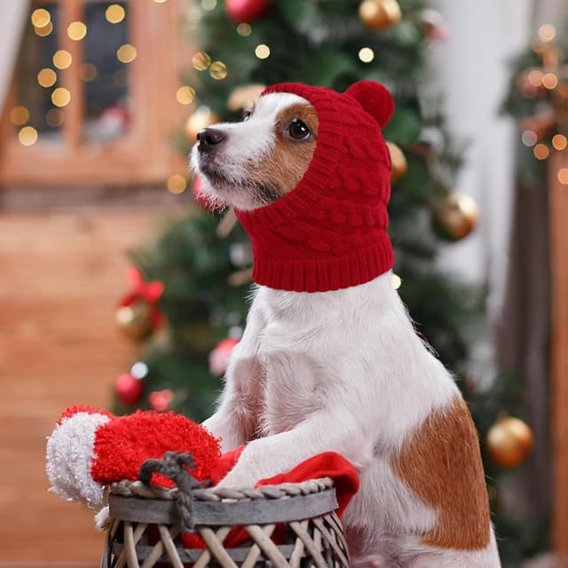Detalle de CITÉTOILE Weihnachtsmütze für Hunde – gestrickte Santa-Mütze mit Zopfmuster und Bommel (Rot, L)