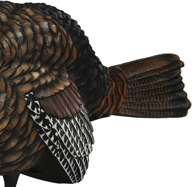 Detalle 2 de Avian X LCD 1/2 Strut Jake Turkey Decoy