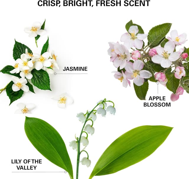 Detalle 2 de Colour Wow Insta-WOW Advanced Dry Shampoo for oily hair (no grit, no clumping)