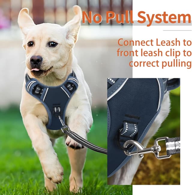 Detalle de HEELE Harnais anti-traction réfléchissant avec poignée rembourrée, 2 anneaux métal – Bleu royal (taille XS)