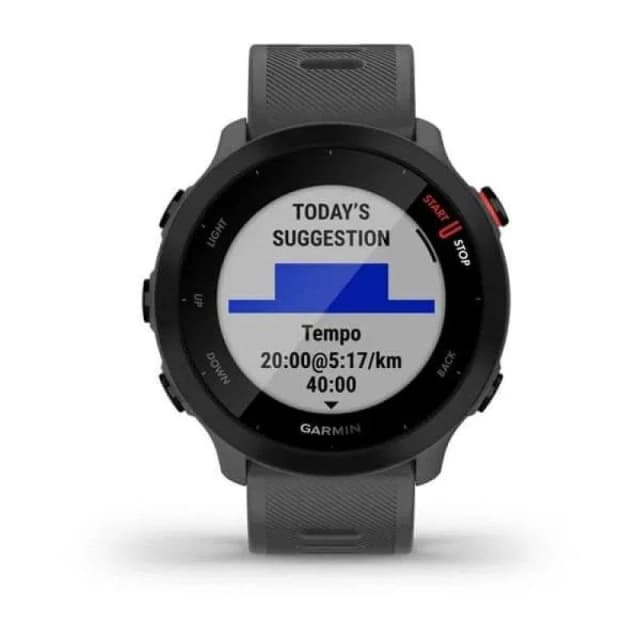 Detalle 2 de Garmin Forerunner 55: reloj GPS 42 mm