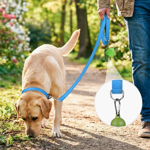 Detalle 2 de Joytale Padded Handle Dog Lead with Double-Sided Reflective Nylon (SkyBlue)