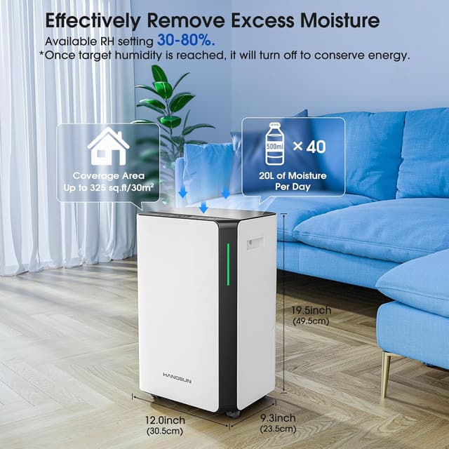 Detalle 2 de Hangsun 20L/day Dehumidifier with Timer 🌫