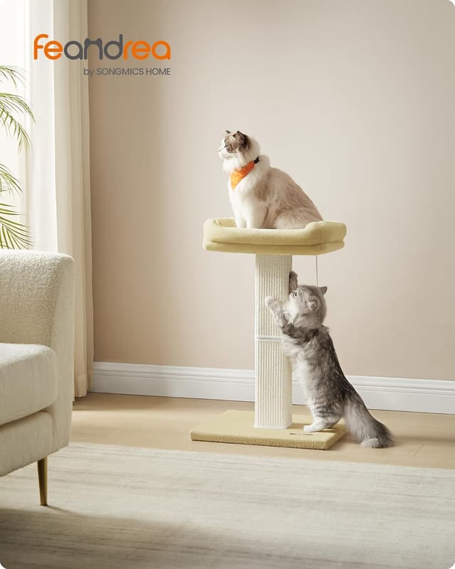 Thumbnail 1 de Feandrea Kratzbaum PCA022M01