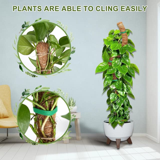 Detalle 1 de Joaercs Moss Pole 60 cm plant support for climbers