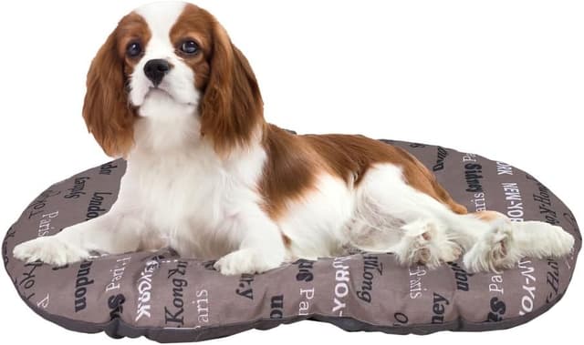 Thumbnail 4 de Ferplast Coussin 43 x 30 cm pour chat