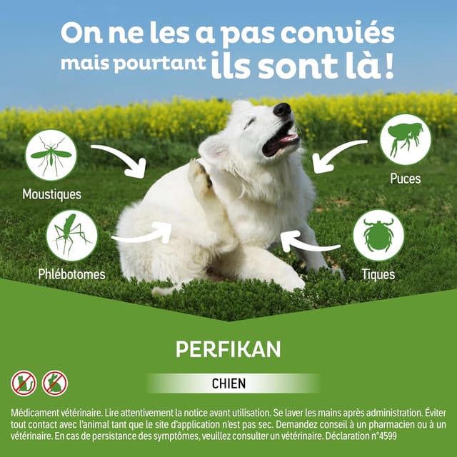 Detalle 2 de Perfikan Très Grands Chiens spot-on 40–60 kg