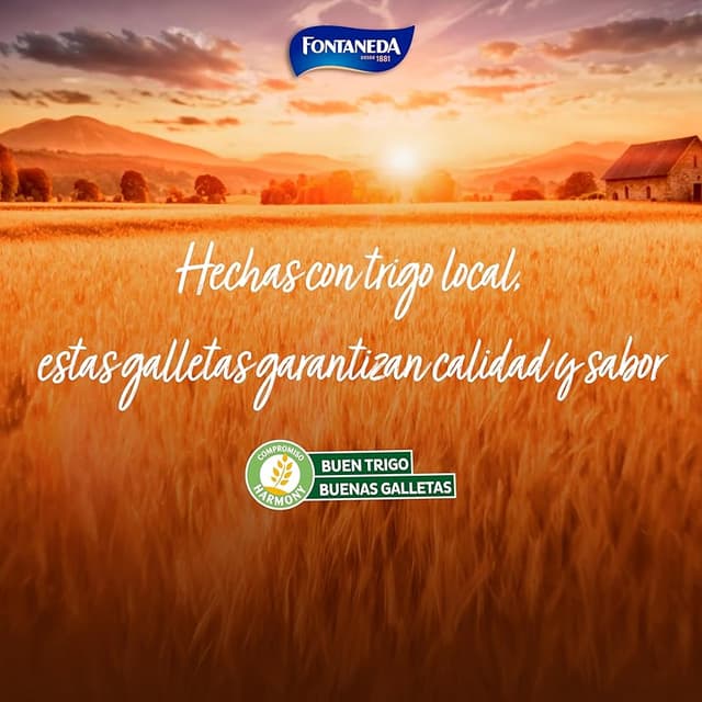 Thumbnail 5 de Fontaneda Yayitas Galletas 14x250 g pack