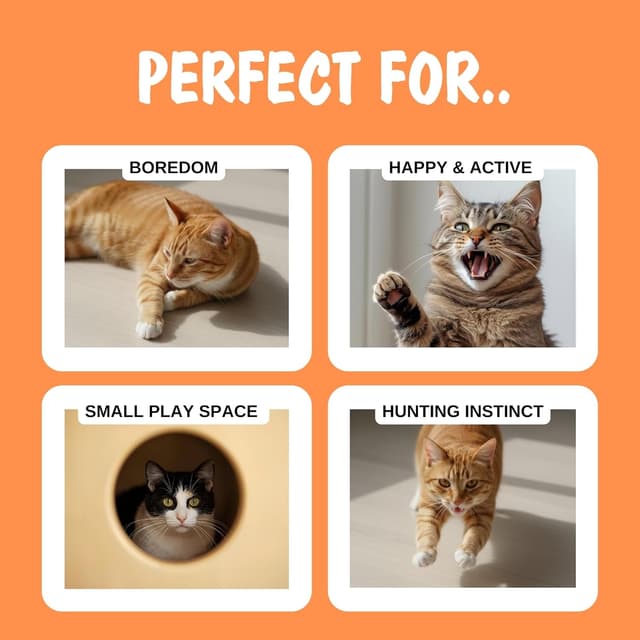 Detalle de Hubspace Interactive Cat Toys 2-in-1 play mat