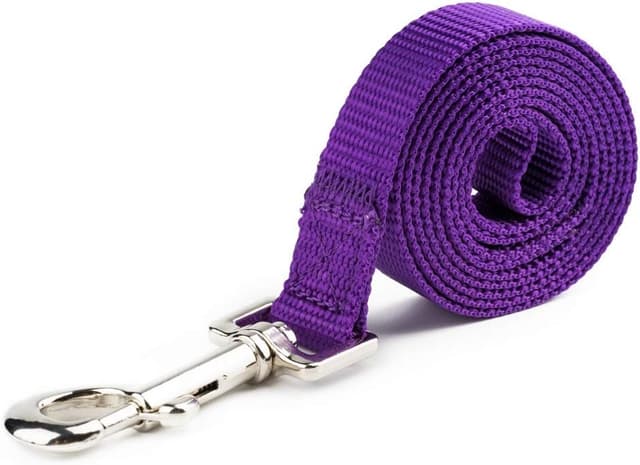 Detalle de YUDOTE Basic Nylon Dog Lead (2.5cm x 120cm) in Vibrant Purple