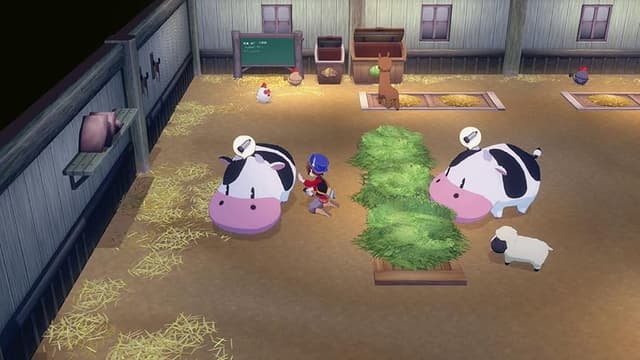 Detalle 2 de Story of Seasons: Grand Bazaar Switch