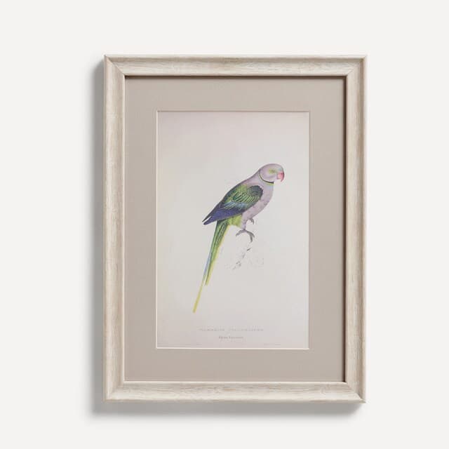 Thumbnail 1 de El Corte Inglés Set de 4 cuadros Pájaros 📷