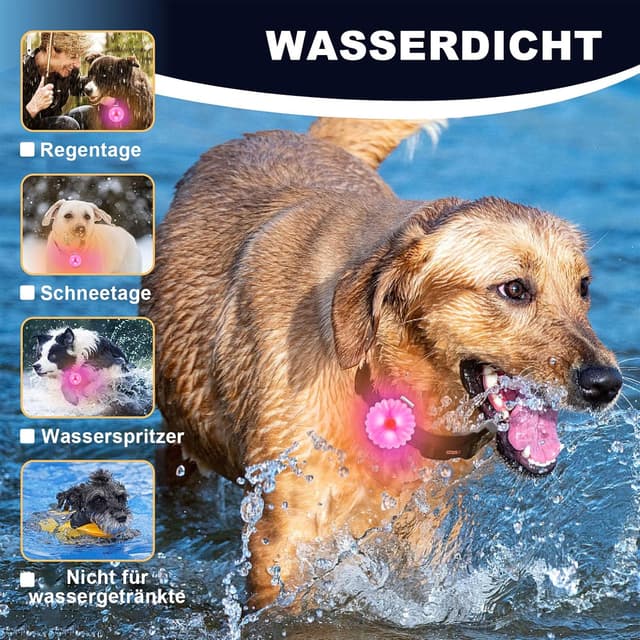 Detalle 2 de AHJ Hundelicht LED Aufladbar 2 Stück 25 h Laufzeit