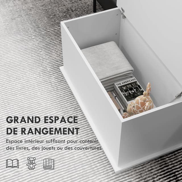 Detalle de HOMCOM Banc Coffre de rangement 80 x 40