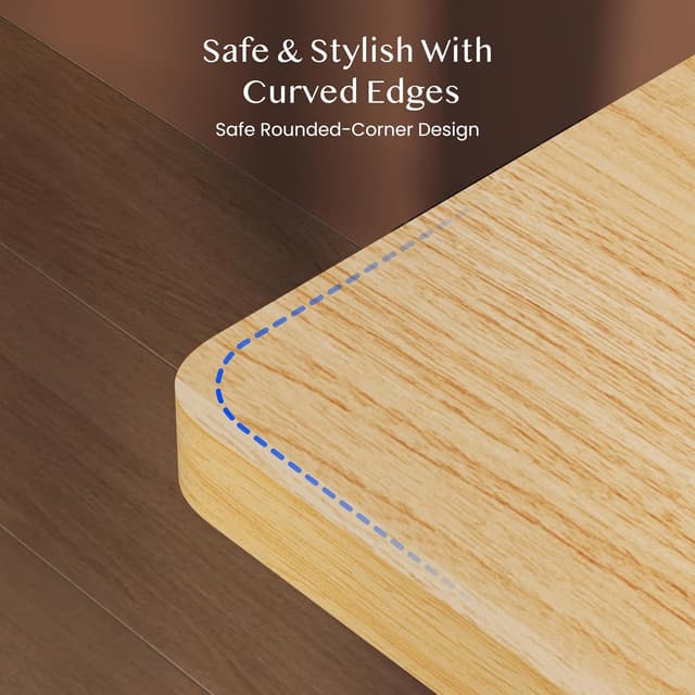 Detalle de FLEXISPOT E1 Plus standing desk 120 x 60cm