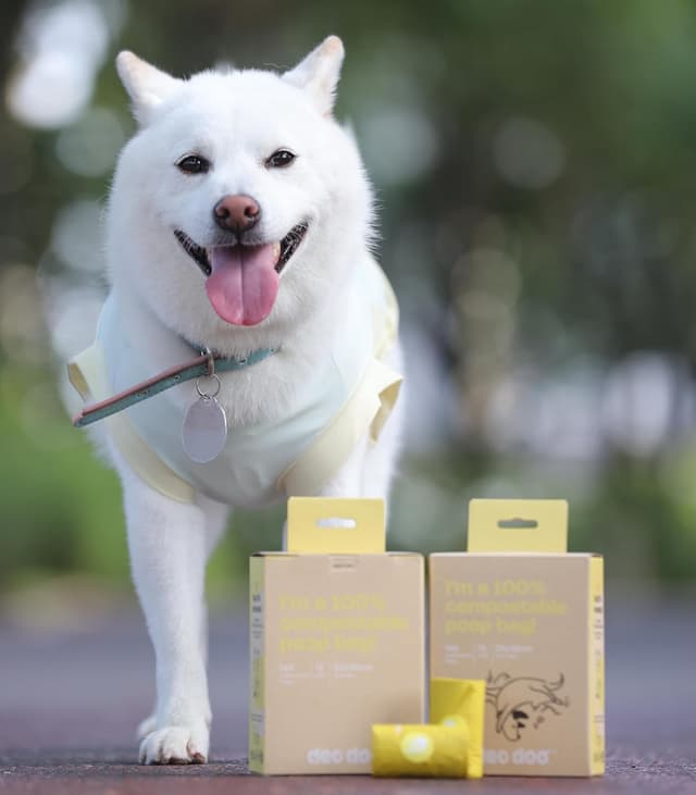 Detalle 2 de Kompostierbare Hundekotbeutelrollen mit Griffen – 144 Stück, ASTM D6400 & EN 13432 konform