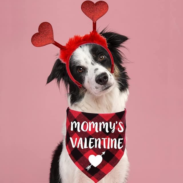 Thumbnail 5 de STMK Valentine’s Day Dog Bandana 30" 🎀