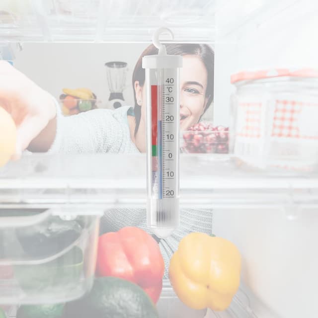 Thumbnail 3 de Lantelme Kühlschrankthermometer 14 cm