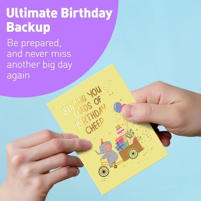 Detalle de Sweetzer & Orange S&O Box of Birthday Cards with Envelopes (Bulk 24, 4x5.5")