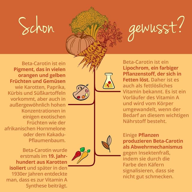 Thumbnail 5 de Vegavero Beta Carotin Kapseln 180 Stück 💊