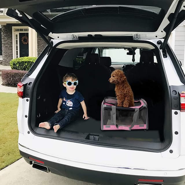 Thumbnail 6 de GAPZER Pet Carrier for Large Cats 🐱