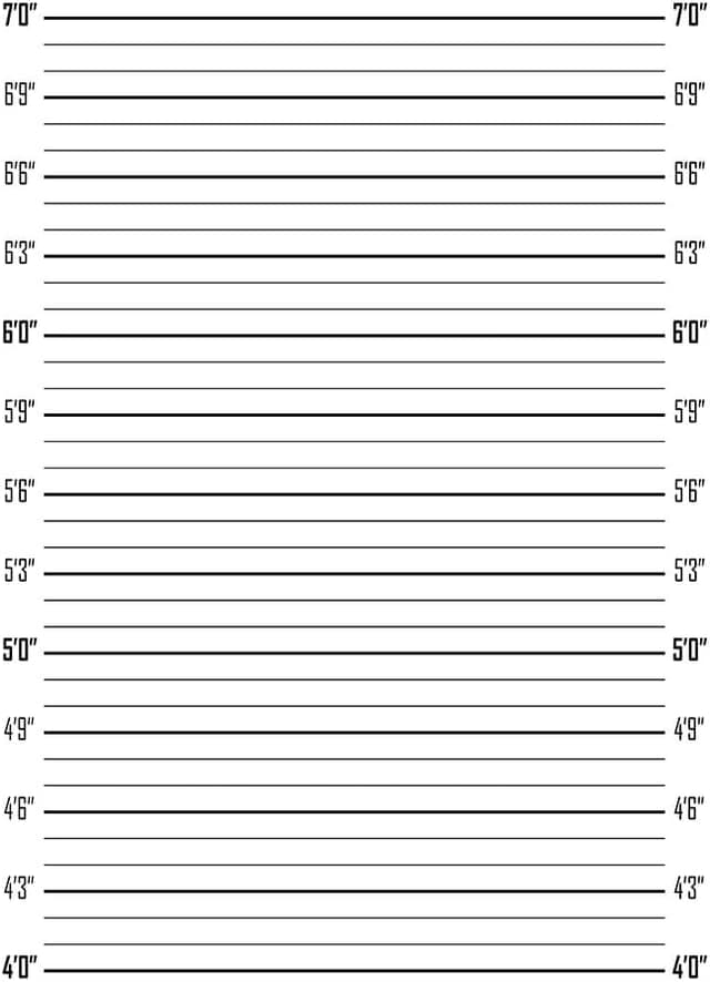 Detalle de Haosphoto Mugshot Backdrop for Photography (3x5FT Police Lineup Poster Background) for Photo Props