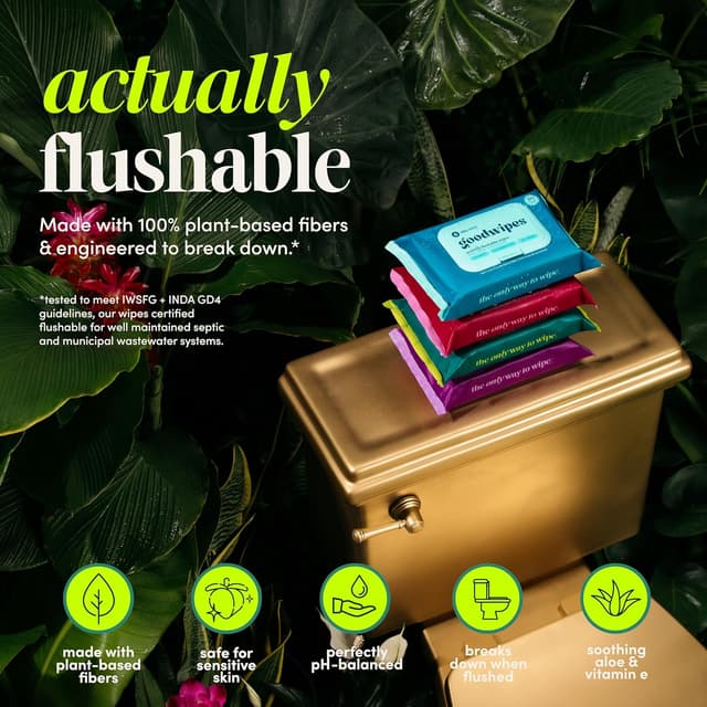 Detalle de Goodwipes Flushable XL Butt Wipes with Aloe & Vitamin E (Extra-Large, Sewer & Septic Safe)