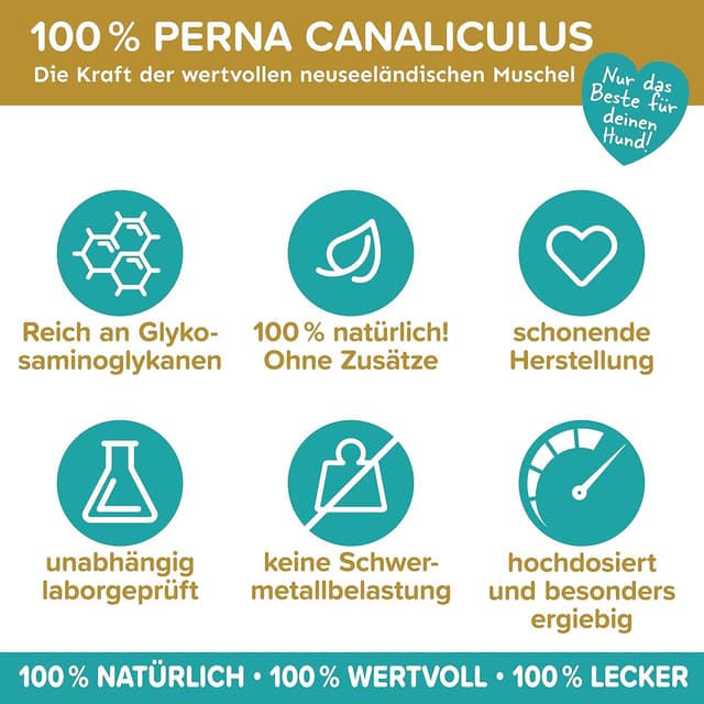 Thumbnail 3 de TESTSIEGER Grünlippmuschel Pulver 500 g für Hunde