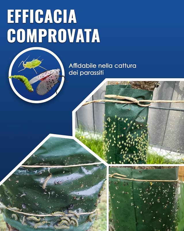 Thumbnail 6 de PIC Anello Colla per alberi da frutto 2x5m