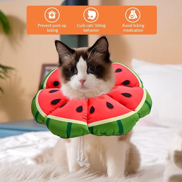 Detalle de Avont Cat Cone Collar Soft Adjustable Recovery Collar (Watermelon) – Elizabethan-style alternative for cats, kittens, dogs after surgery – Size L