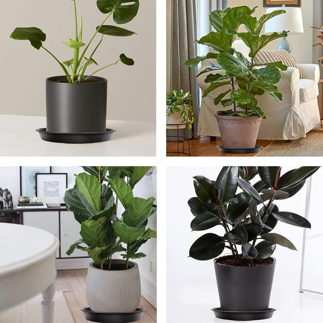 Detalle 2 de Muzhira 6er Set Blumentopf-Untersetzer aus PP (26 cm, rot)