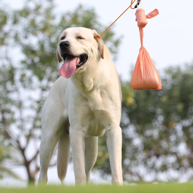 Thumbnail 6 de Hundekotbeutel biologisch abbaubar mit Henkel & Spender – 720 Stück (60 Rollen) mit Duft