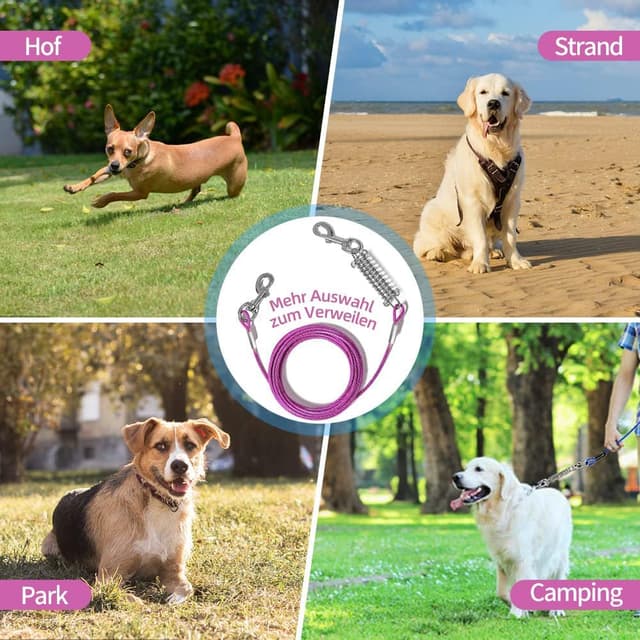 Thumbnail 4 de Mi Metty Tie-Out-Leine für Hunde (15 m) mit Federpuffer, 360° drehbarem Clip – für mittlere bis große Hunde, lila