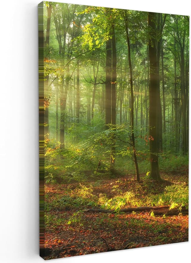 Detalle de MuchoWow Impression sur toile 80x120 cm 🖼