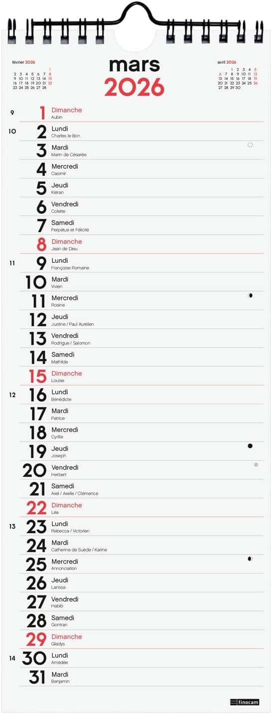 Detalle de Calendrier mural 2026 Finocam (janvier à décembre 2026) – planificateur mensuel neutre