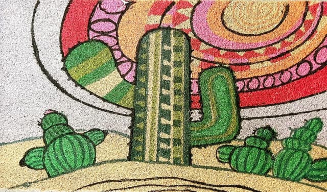 Thumbnail 1 de Baroni Home Zerbino Cocco 70x40 cm 🌵