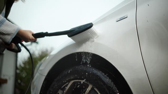 Detalle de Wagner AQUASTORM Scrub Brush – spazzola per lavaggio in accessorio per idropulitrici AQUASTORM