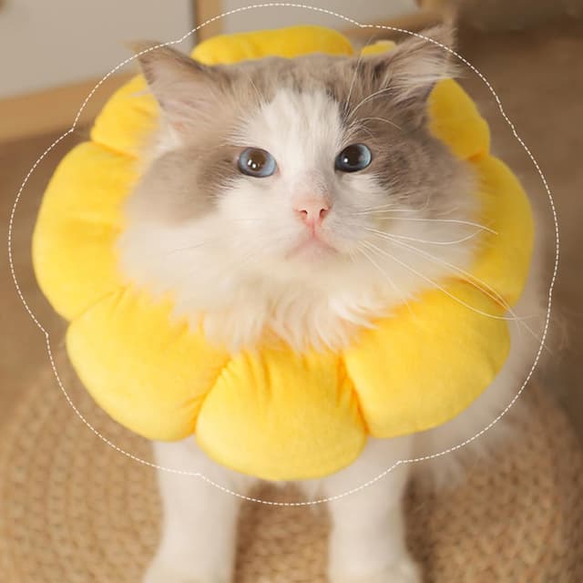 Thumbnail 6 de Wishstar Halskrause Katze Größe S – weicher Leckschutz im Sonnenblumen-Design