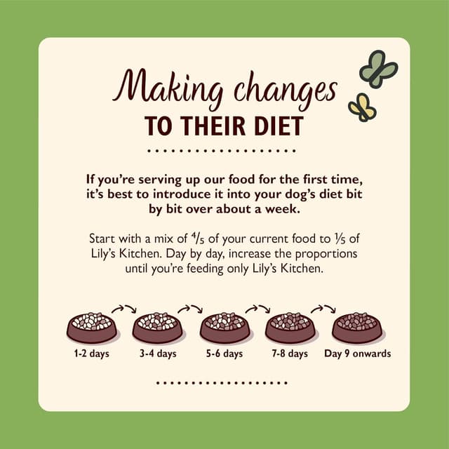 Thumbnail 6 de Lily's Kitchen Nassfutter für Hunde 11×150g