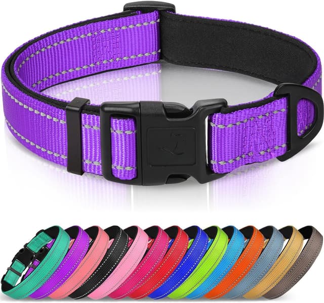 Thumbnail 6 de Joytale Reflective Dog Collar S, 11-15 in
