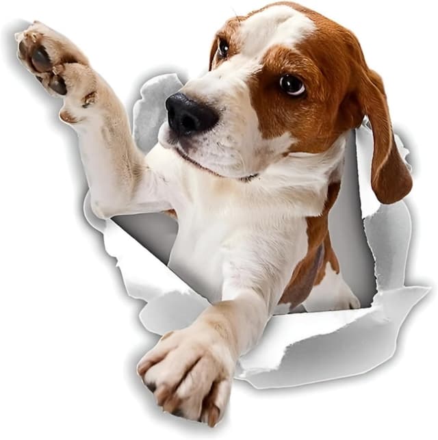 Imagen de Autoaufkleber Beagle 25 cm lustig en OfertitasTOP