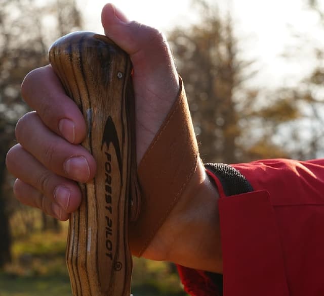 Detalle 2 de FOREST PILOT Sassafras Trekking Pole 1pc