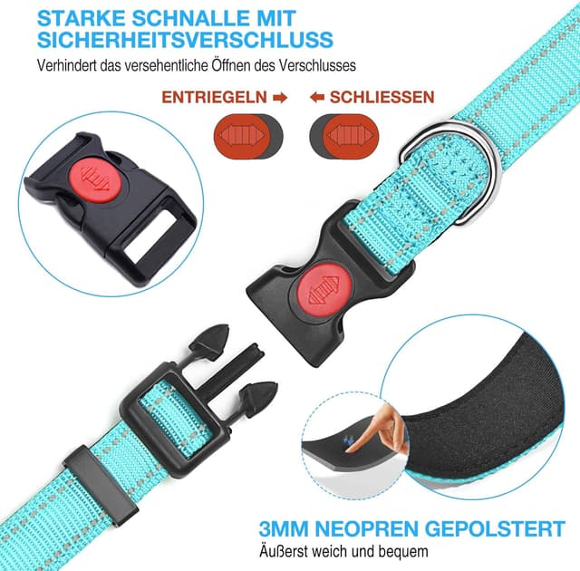 Detalle de haapaw reflektierendes gepolstertes Hundehalsband aus Neopren (Nylon) inkl. 1,5 m Hundeleine