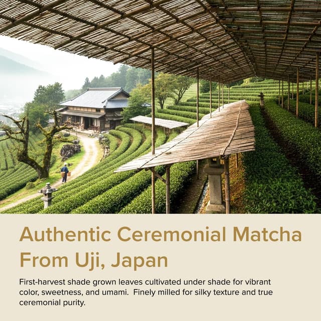 Thumbnail 1 de VAHDAM Matcha Ceremonial 30g Té verde matcha