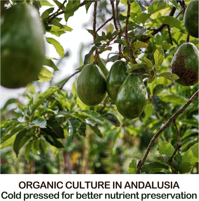 Thumbnail 6 de Huile d'Avocat Bio B.O.T 100ml ⚙