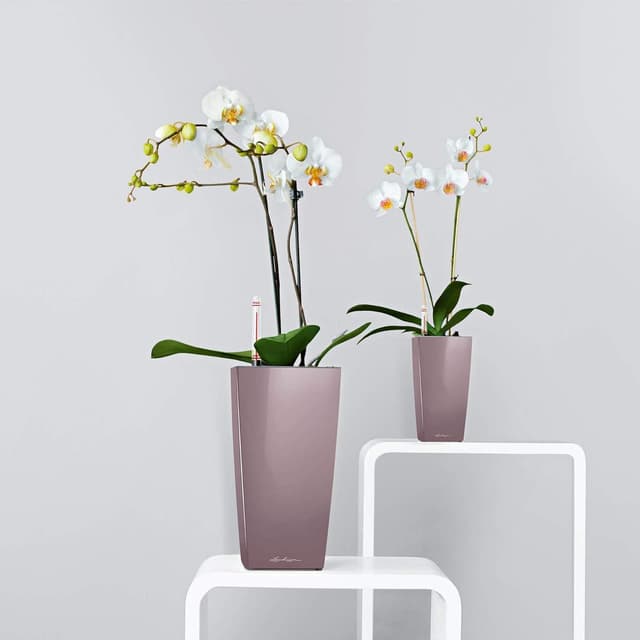 Thumbnail 4 de LECHUZA Maxi Cubi 14x14x26 antracite