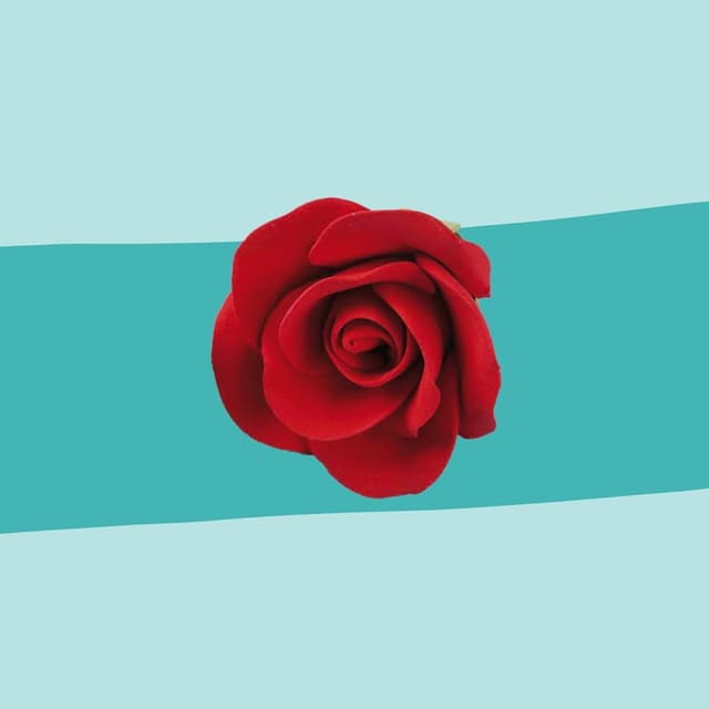 Thumbnail 2 de Cake Company Feinzuckerrosen 50 Stück rot