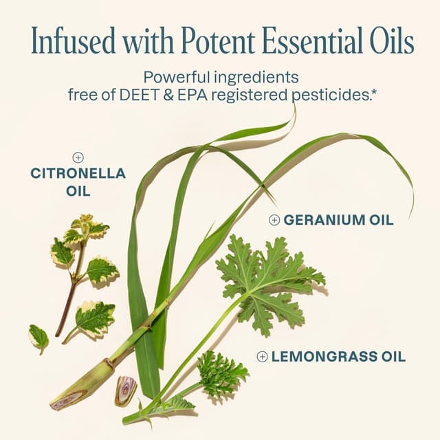 Thumbnail 4 de Cliganic 10-Pack Mosquito Repellent Bracelets