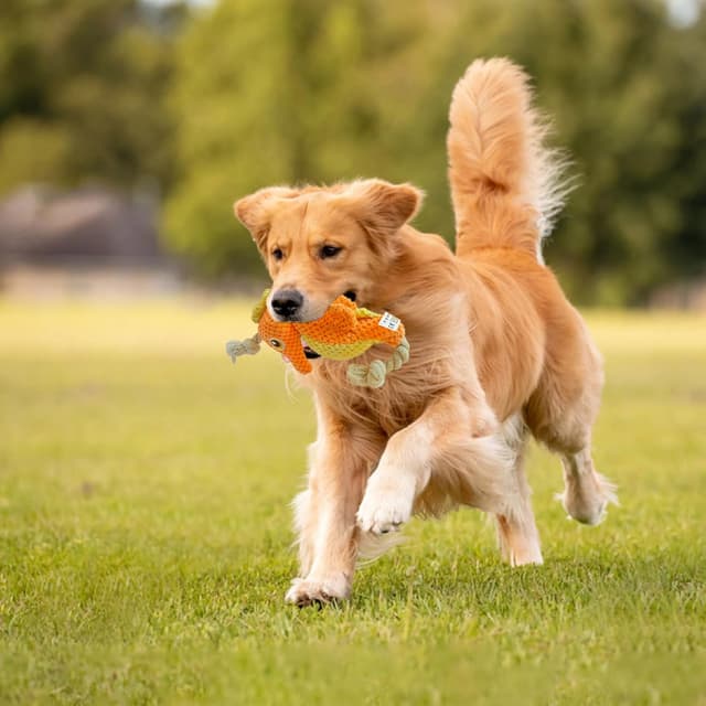 Detalle de TONYFY Niedliches Meeresleben Quietschendes Kauspielzeug mit Plüsch-Seil (Seepferdchen, Orange)